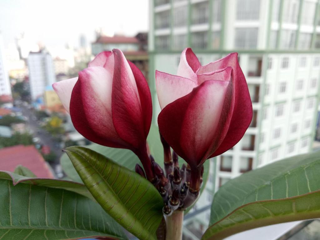 V Boutique Hotel Phnompen Kültér fotó